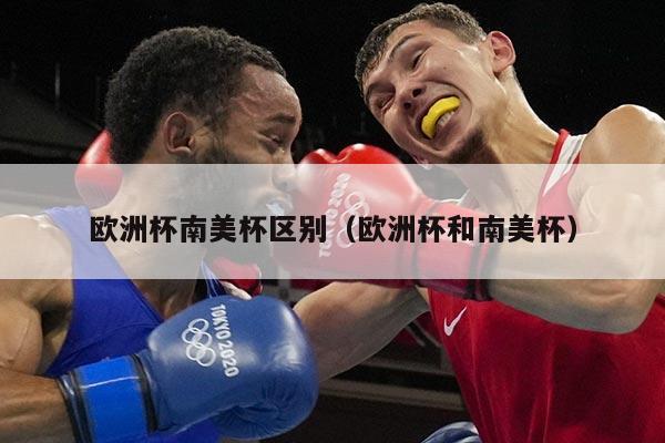 欧洲杯南美杯区别（欧洲杯和南美杯）