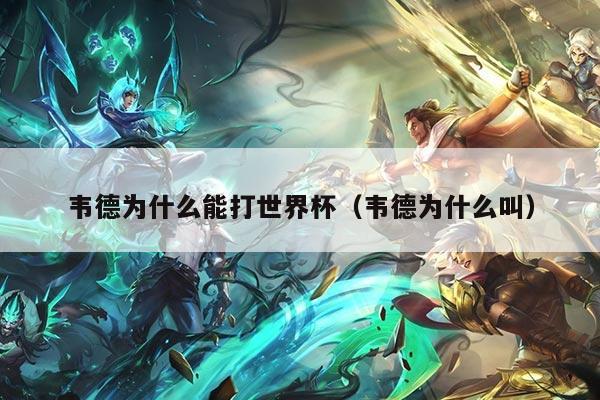 韦德为什么能打世界杯（韦德为什么叫）
