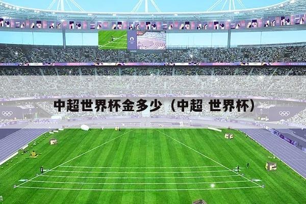 中超世界杯金多少（中超 世界杯）