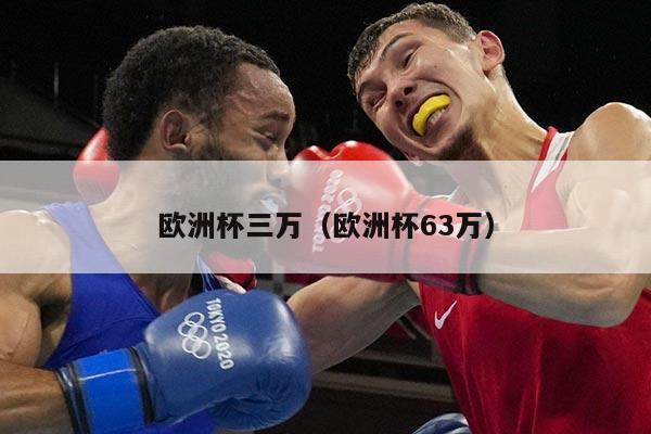 欧洲杯三万（欧洲杯63万）