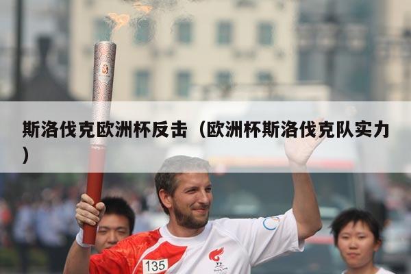 斯洛伐克欧洲杯反击（欧洲杯斯洛伐克队实力）