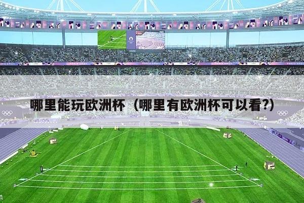 哪里能玩欧洲杯（哪里有欧洲杯可以看?）